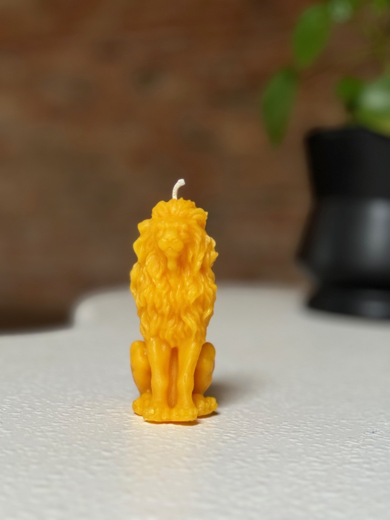 Leo the Lion Candle