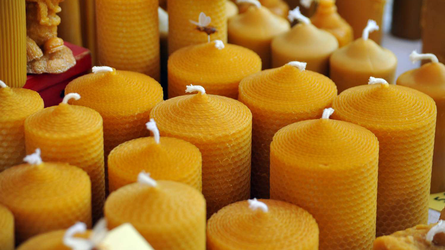 Why Beeswax Color Varies: Embracing the Beauty of Natural Variation