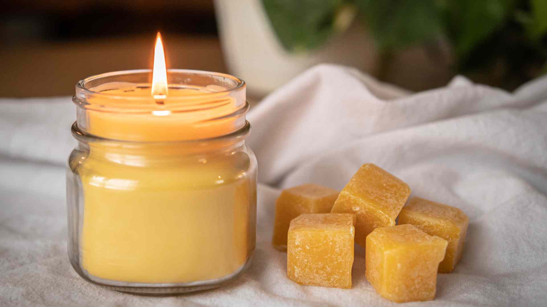 Beeswax vs. Soy Candles: Which is the Better Choice?