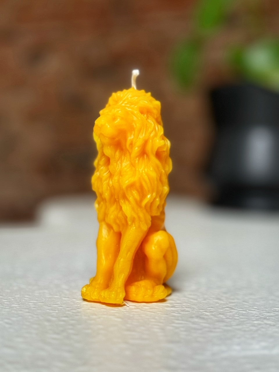 Leo the Lion Candle