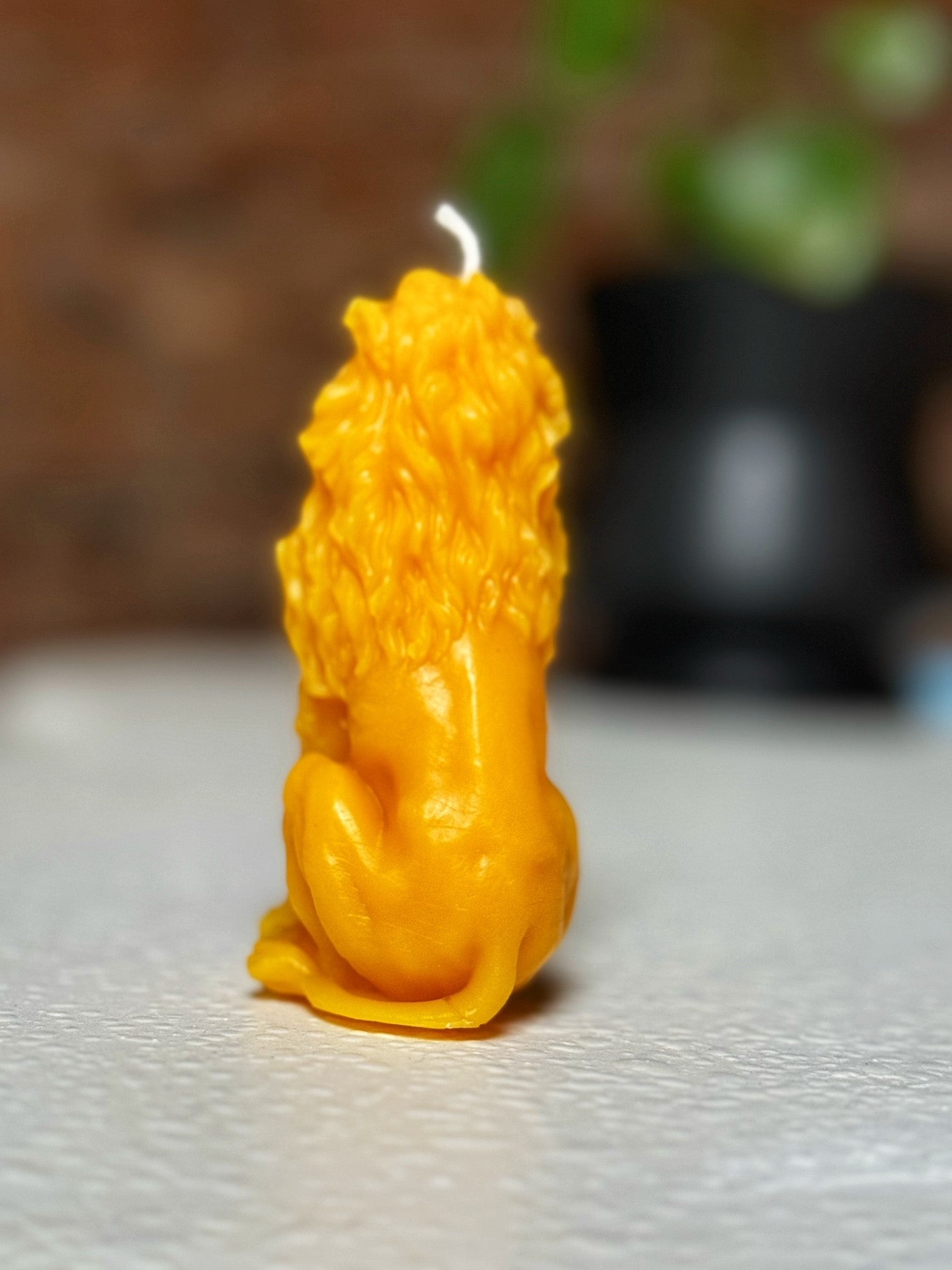 Leo the Lion Candle